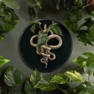 Plant Propagation Snake - forestgreen