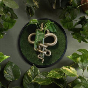 Plant Propagation Snake - mossgreen