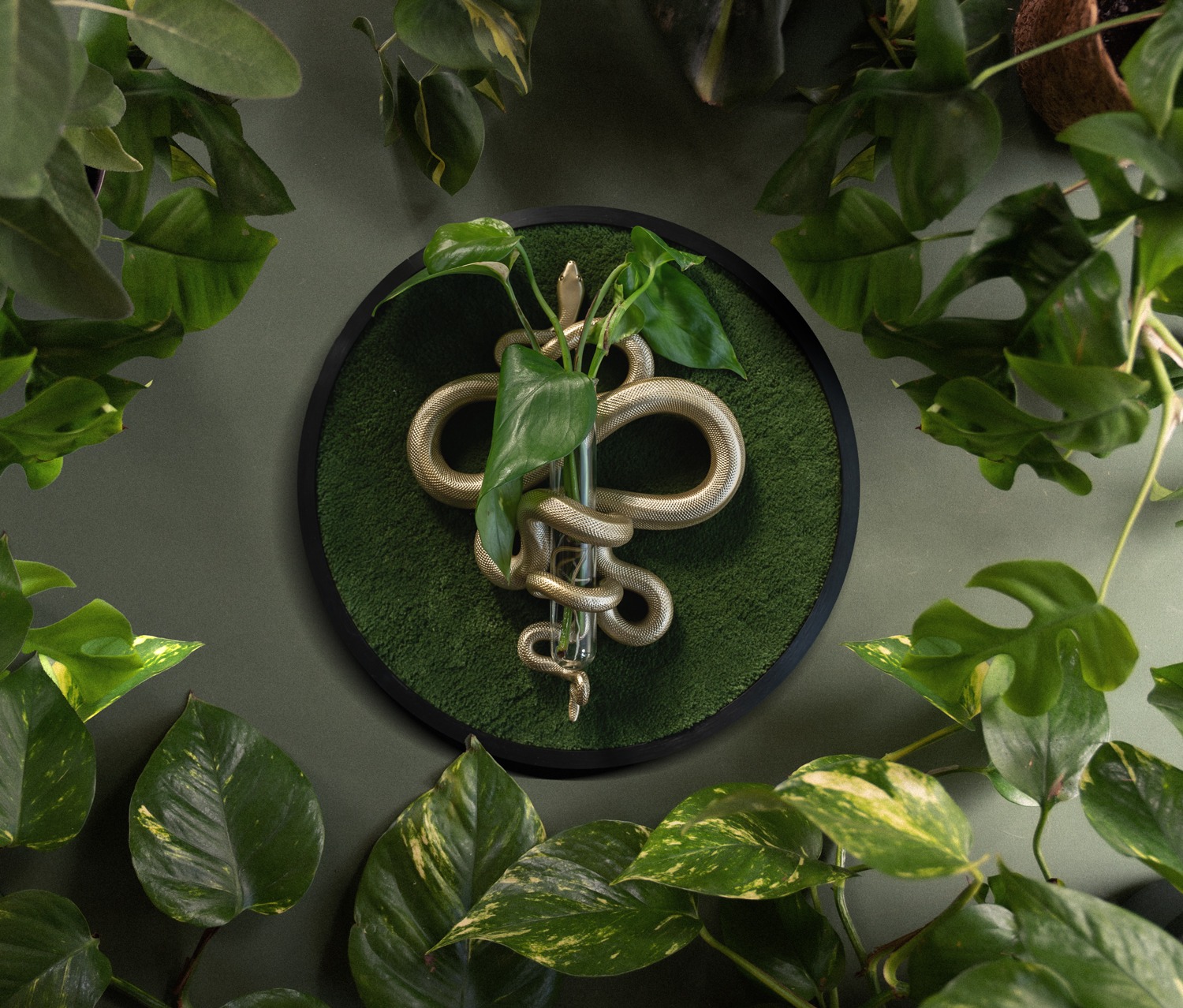 Plant Propagation Snake - mossgreen