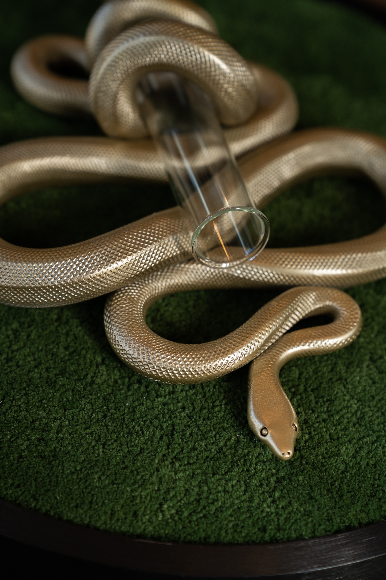 Plant Propagation Snake - mossgreen - Image 2
