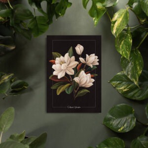 Magnolia Grandiflora II Print