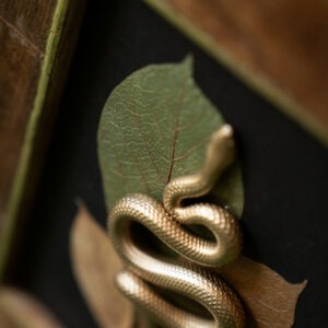 _I_artikelfoto_serpens-herbaria_no2_details