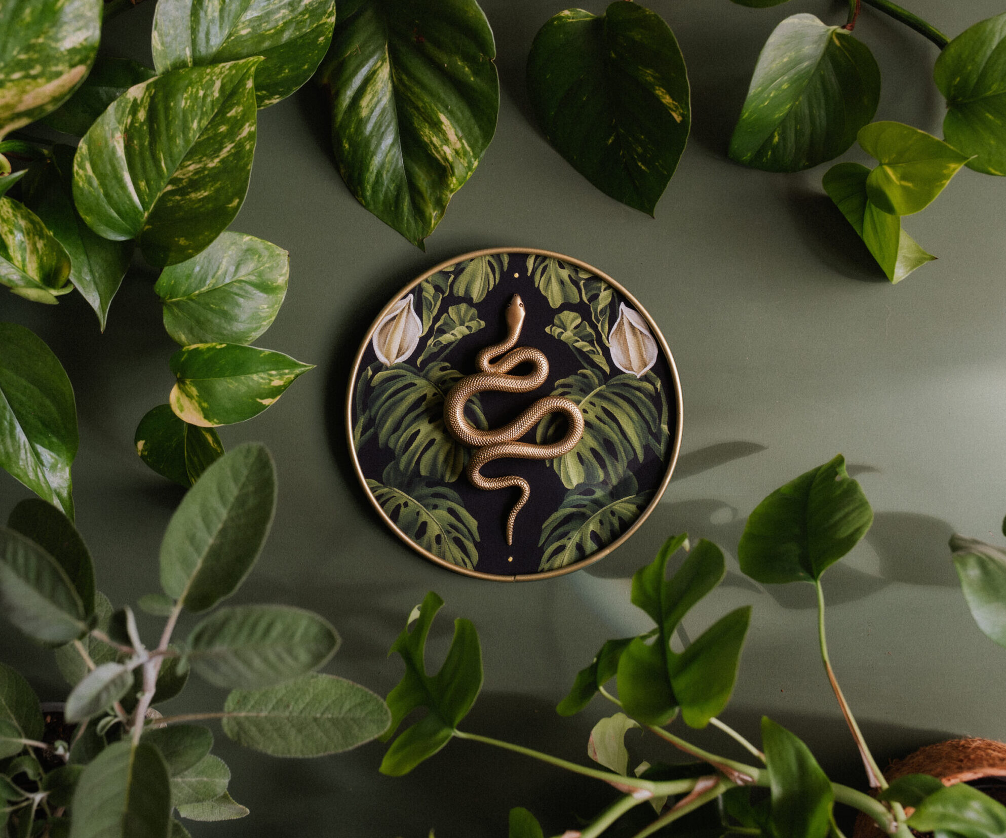 Forest Of The Serpent