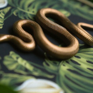 _I_snake_artikelfoto_forest-of-the-serpent_detail