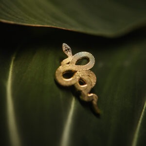 Snake Pin